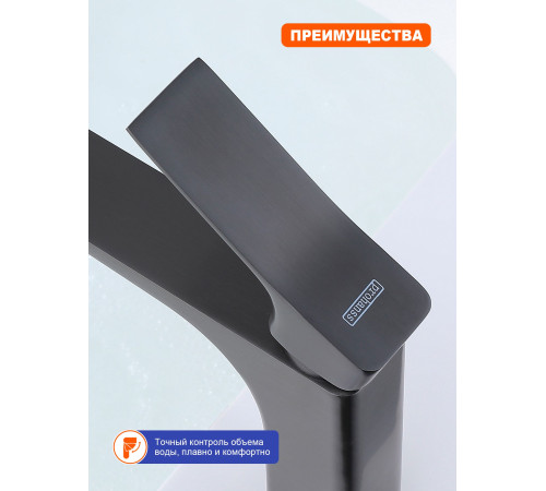 Смеситель для раковины Prohanss P62.10.09, графит