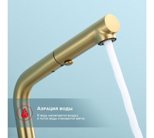 Смеситель для кухни с выдвижным изливом Raglo R86.49.03, золотой сатин