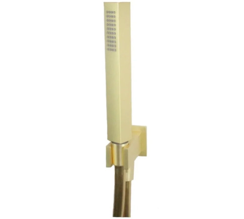 Душевой гарнитур Webert Shower Set AC1045794, матовое золото