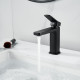 Смеситель для раковины Raffine F0199H, черный