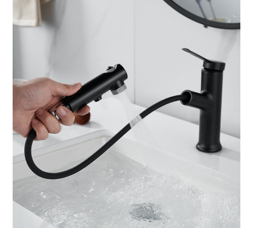 Смеситель для раковины многофункциональный Raffine F281H, черный