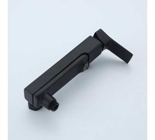 Смеситель для ванны FRAP F3284-6, черный