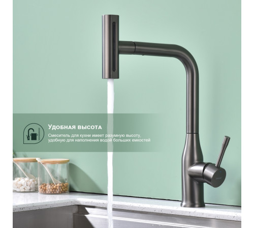 Смеситель для кухни с мультифункциональным изливом Splenka S206.49.09, графит