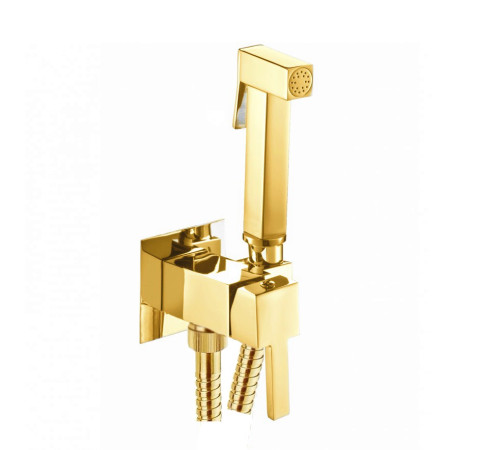 Гигиенический душ со смесителем Webert Pegaso PE870303010, золото