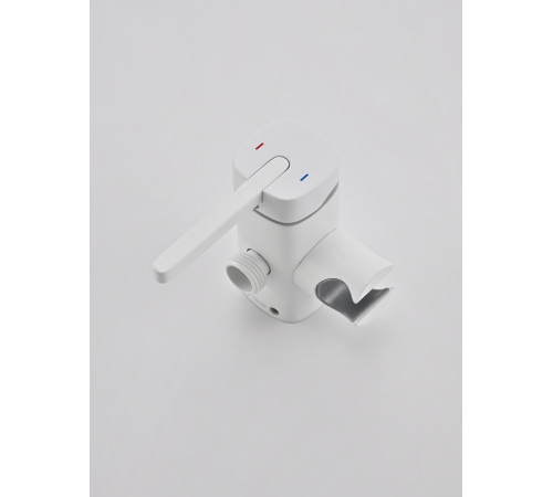 Гигиенический душ со смесителем Rose R245C, белый