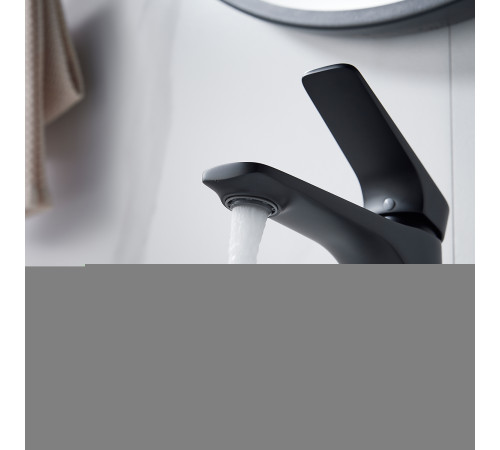 Смеситель для раковины Shevanik S4201H, черный