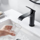 Смеситель для раковины Shevanik S4101H, черный