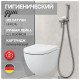 Гигиенический душ со смесителем встраиваемый Hansberge H3099NK, никель