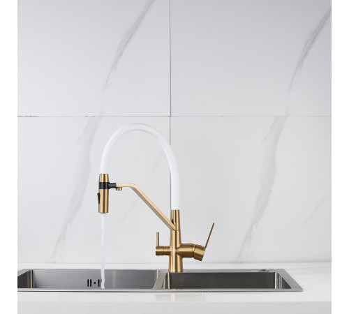 Смеситель для кухни с гибким изливом и подключением фильтра Shevanik S278G, золотой сатин