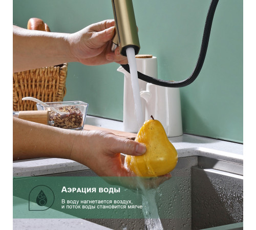 Смеситель для кухни с мультифункциональным изливом Splenka S206.49.03, золотой сатин