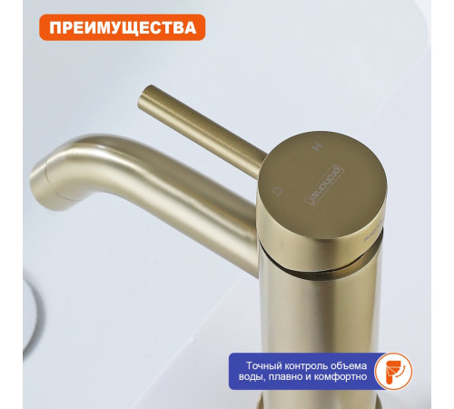 Смеситель для раковины Prohanss P31.10.03, золотой сатин