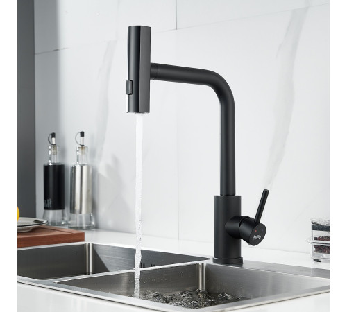 Смеситель для кухни с мультифункциональным изливом Raffine F203H, черный