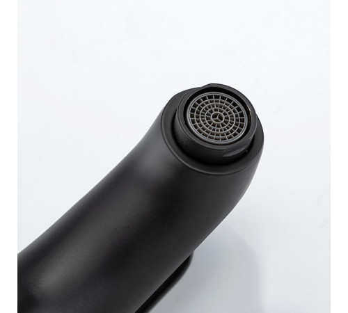 Смеситель для раковины Frud R10157-6, черный