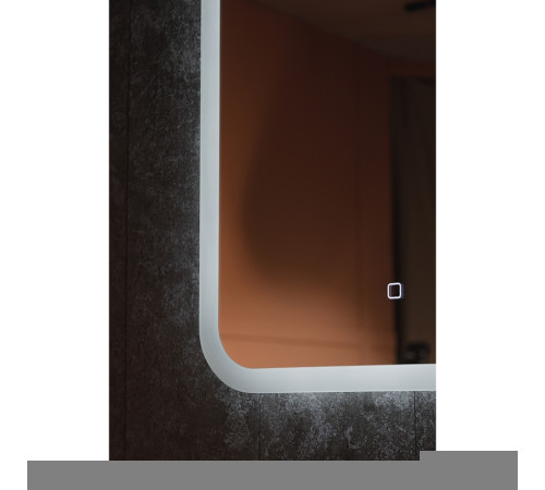Зеркало Silver Mirrors "Стив - Л/Stiv - Lite" 600х800 (Сенсорный выключатель, гор/вер крепление)
