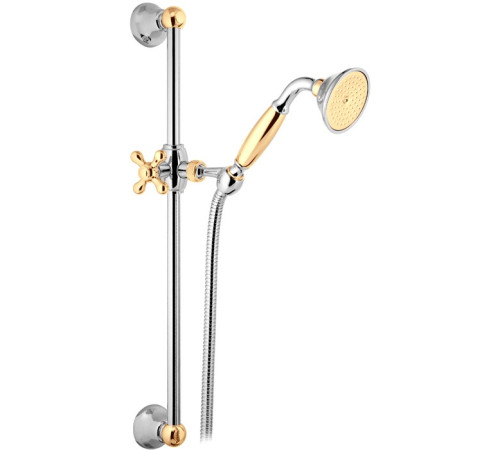 Душевой гарнитур Webert Shower Set AC0384017, хром/золото