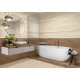 Керамогранит Alma Ceramica GFA3060ATS07R Альтесс / Altesse 30×60