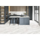 Керамогранит Alma Ceramica GFU04FLR07R Fleur 60x60 белый / серый сахарный под камень