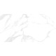 Керамогранит LCM 60120DLL15P Dallas Silver 60x120 серый полированный под камень