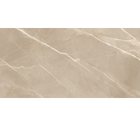 Керамогранит New Trend 60120ESE21P Эссеншл каштановый / Essential Marron 60×120
