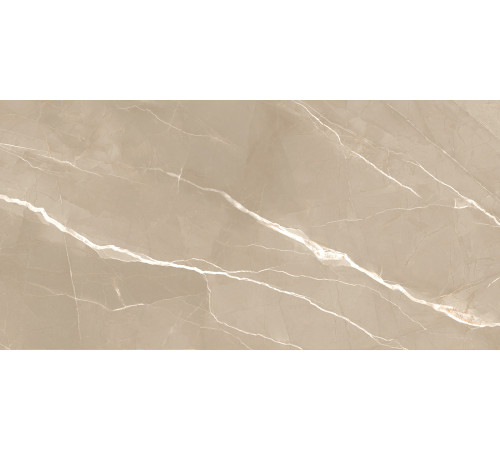 Керамогранит New Trend 60120ESE21P Essential Marron 60x120 бежевый полированный под мрамор