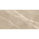 Керамогранит New Trend 60120ESE21P Essential Marron 60x120 бежевый полированный под мрамор
