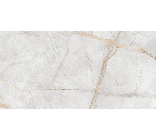 Керамогранит LCM 60120PEC15P Special Marmo Gray 60x120 серый полированный под камень