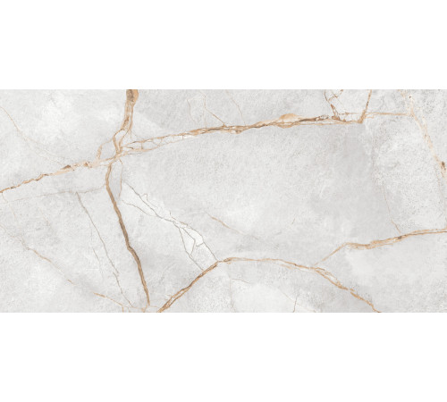 Керамогранит LCM 60120PEC15P Special Marmo Gray 60x120 серый полированный под камень