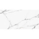 Керамогранит New Trend 60120REG00P Calacatta Regal 60x120 белый полированный под мрамор