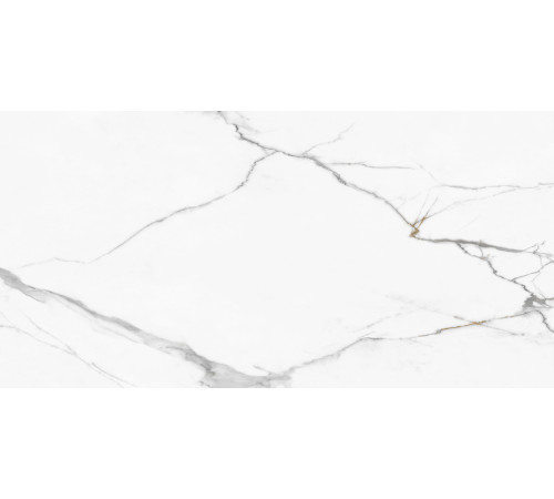 Керамогранит New Trend 60120REG00P Calacatta Regal 60x120 белый полированный под мрамор