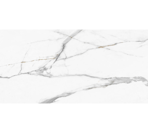 Керамогранит New Trend 60120REG00P Calacatta Regal 60x120 белый полированный под мрамор
