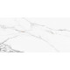 Керамогранит New Trend 60120REG00P Calacatta Regal 60x120 белый полированный под мрамор