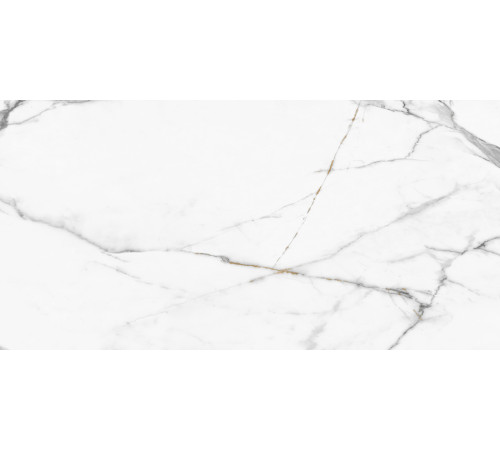 Керамогранит New Trend 60120REG00P Calacatta Regal 60x120 белый полированный под мрамор