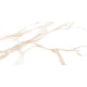 Керамогранит LCM 60120SAC11P Sandy Carrara 60x120 бежевый полированный под камень