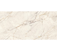 Керамогранит LCM 60120WOF01P Вандефул / Wonderfull 60×120
