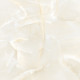 Керамогранит LCM 6060TLN01P Talisman Onyx Crema 60x60 бежевый полированный под камень