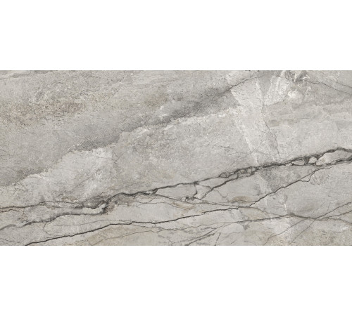 Керамогранит Delacora D12050M Oregon Gray 60x120 серый матовый под камень / мрамор
