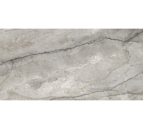 Керамогранит Delacora D12050M Oregon Gray 60x120 серый матовый под камень / мрамор