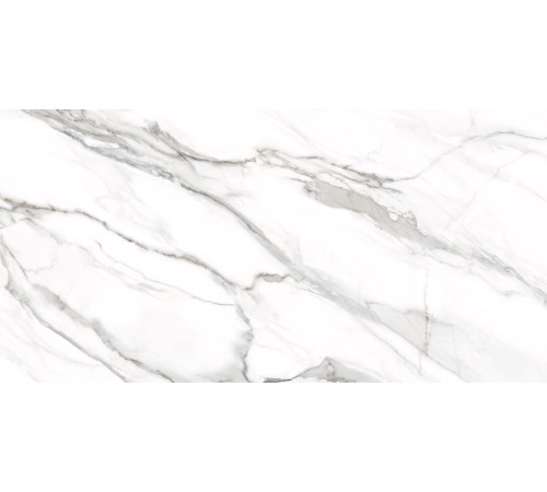Керамогранит Delacora D12053M Omega Silver 60x120 белый матовый под мрамор