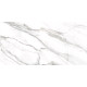 Керамогранит Delacora D12053M Omega Silver 60x120 белый матовый под мрамор