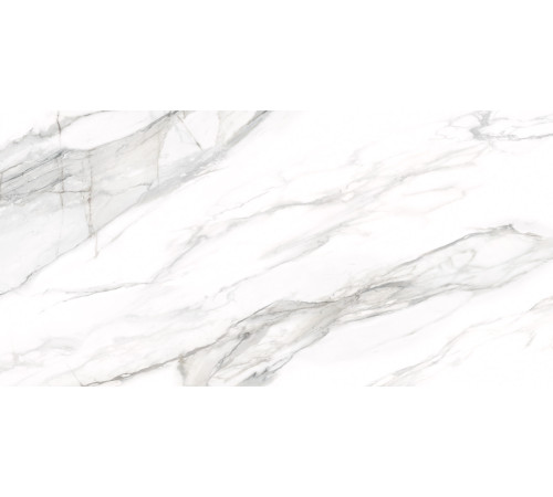 Керамогранит Delacora D12053M Omega Silver 60x120 белый матовый под мрамор