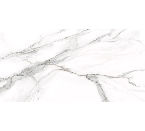 Керамогранит Delacora D12053M Omega Silver 60x120 белый матовый под мрамор