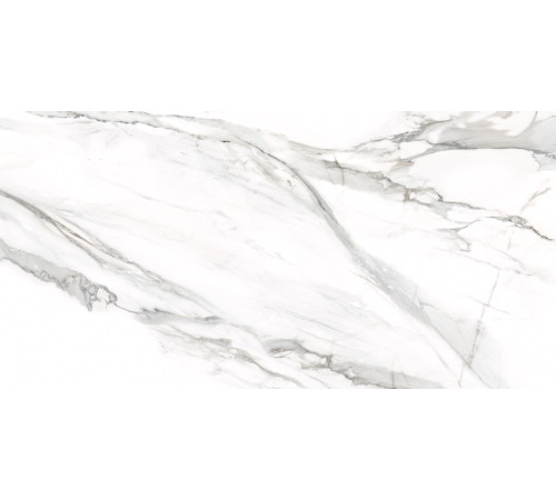 Керамогранит Delacora D12053M Omega Silver 60x120 белый матовый под мрамор