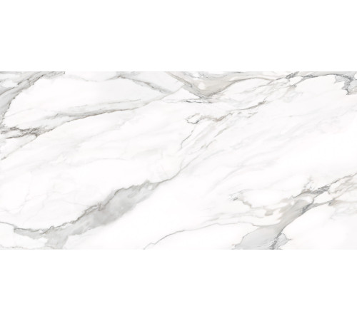 Керамогранит Delacora D12053M Omega Silver 60x120 белый матовый под мрамор