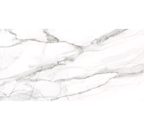 Керамогранит Delacora D12053M Omega Silver 60x120 белый матовый под мрамор