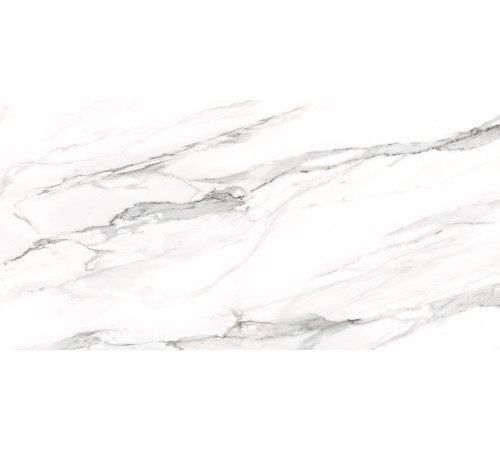 Керамогранит Delacora D12053M Omega Silver 60x120 белый матовый под мрамор