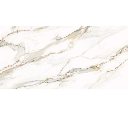 Керамогранит Delacora D12054M Omega Gold 60x120 белый матовый под мрамор