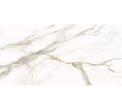 Керамогранит Delacora D12054M Omega Gold 60x120 белый матовый под мрамор