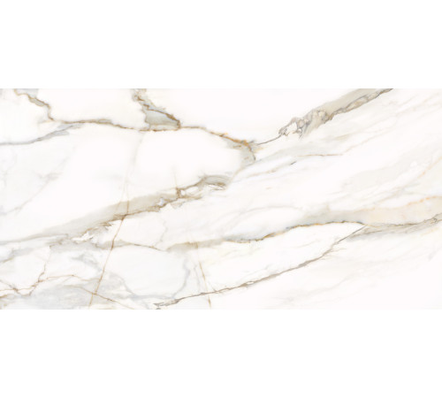 Керамогранит Delacora D12054M Omega Gold 60x120 белый матовый под мрамор