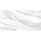 Керамогранит Delacora D12065M Statuary Venato 60x120 белый матовый под мрамор