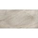 Керамогранит Delacora D30016M Nepal Light 30x60 серый матовый карвинг под камень